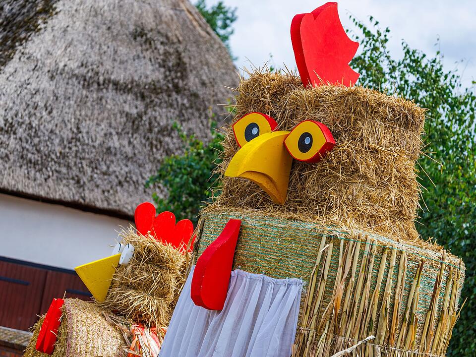 Strohh&uuml;hner werben f&uuml;r Erntedankfest