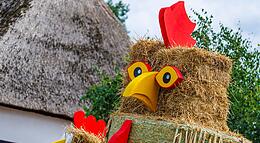 Vorschaubild
