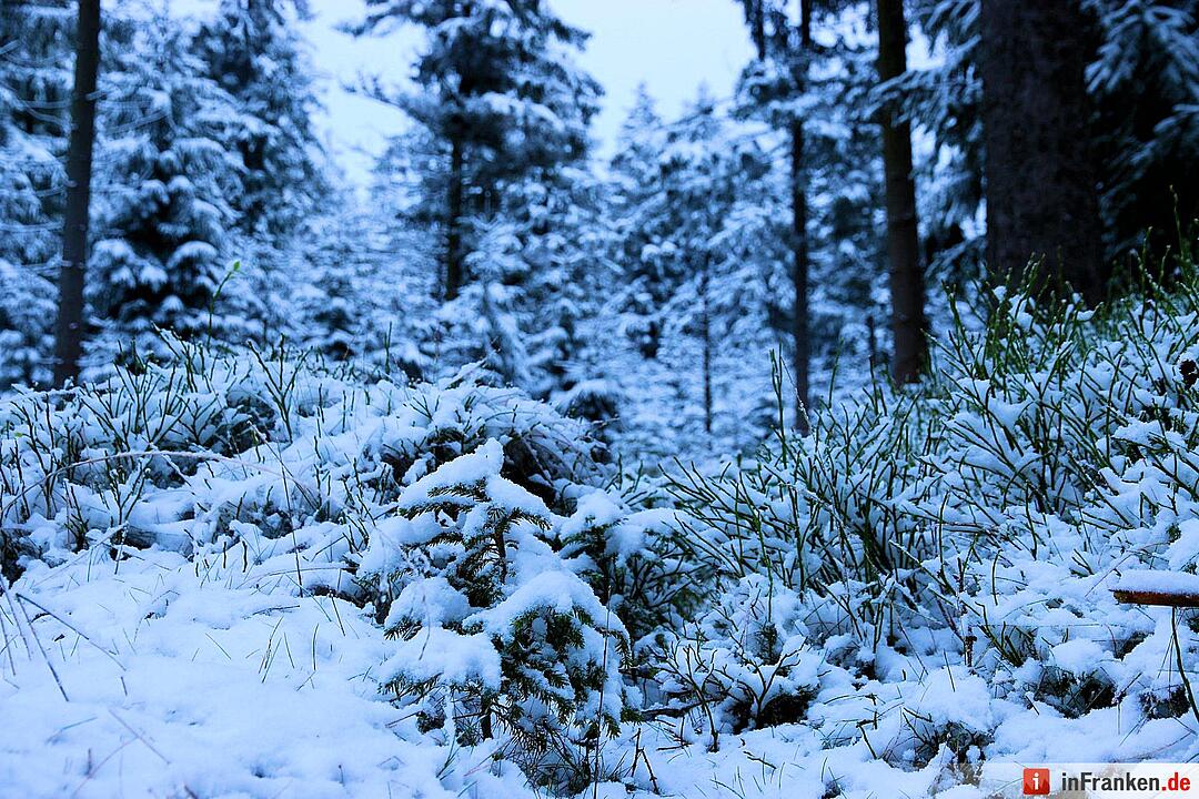 Schnee im Fichtelgebirge