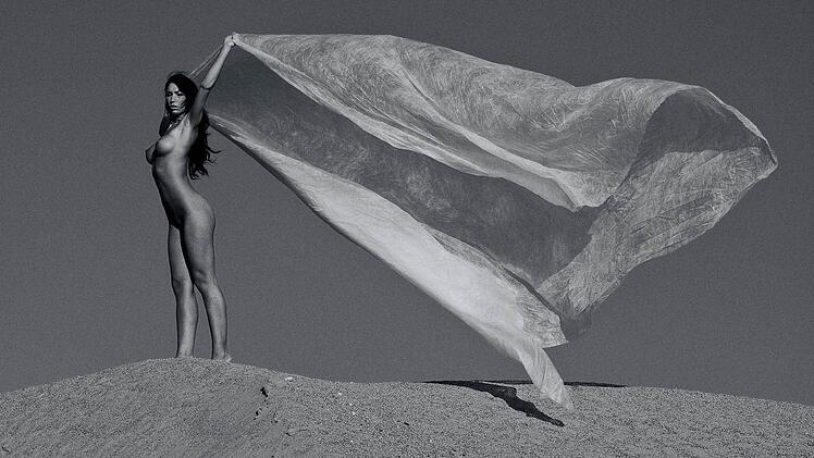 Das Siegerbild von Lothar Nöth