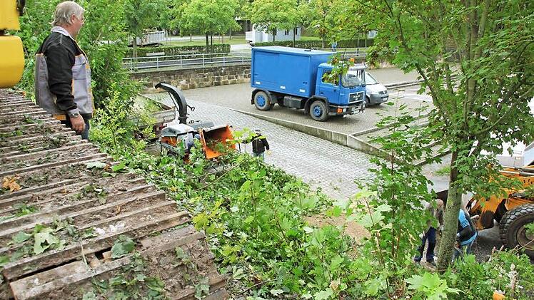 Am Bahndamm laufen die Rodungsarbeiten.