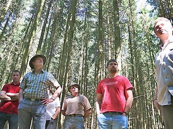 Mehr Licht im Holzbestand gibt der natürlichen Verjüngung des Walds eine gute Chance. Der Gemeinderat von Wartmannsroth machte sich ein Bild von der Situation und den geplanten Maßnahmen. Vor allem die neuen Räte hatten dazu Fragen. Foto: Gerd Schaar