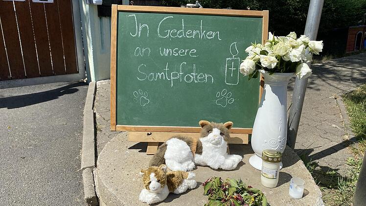 Vor dem Tierheim wird an die Katzen erinnert, die dem Feuer zum Opfer gefallen sind.