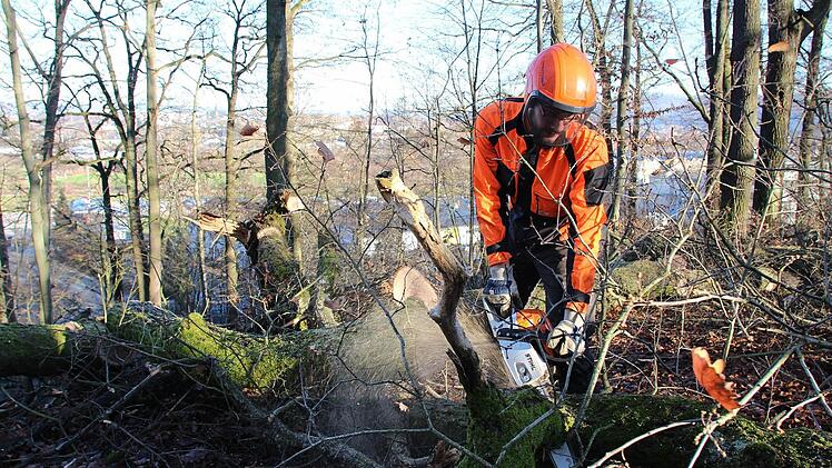 Forstarbeiter Benaja Roth zersägt einen der dicken Äste im Bärenholz. Ein Teil des Totholzes werden die Arbeiter dort liegen lassen, denn es bietet in der kalten Jahreszeit allerlei Insekten und Tieren Unterschlupf. Foto: Ulrike Nauer