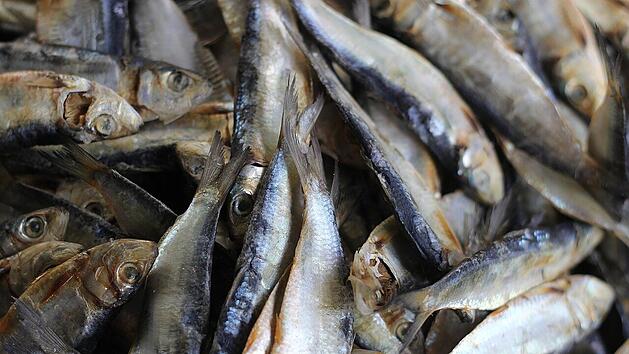 Fermentierter Hering hat einen nach Ammoniak und S&auml;ure duftenden Geschmack.