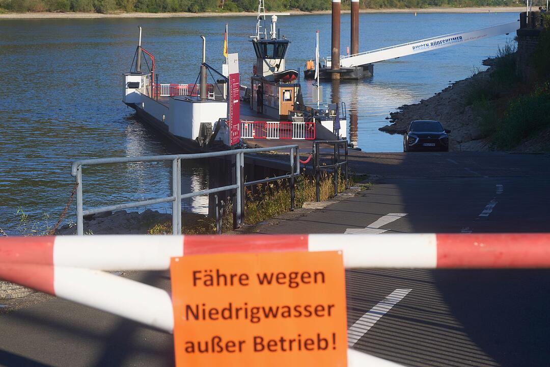 Wirtschaftliche Folgen des Rhein-Niedrigwassers