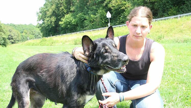 Schäferhündin Sofi beim Gassigehen.