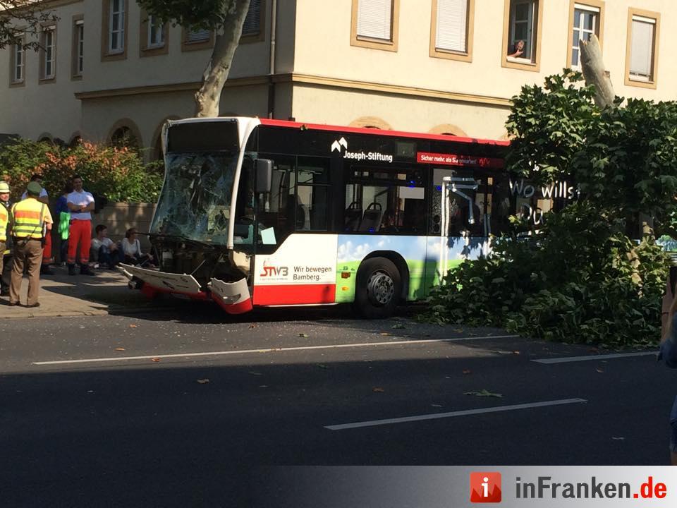 Baum stürzt in Bamberg auf Stadtbus