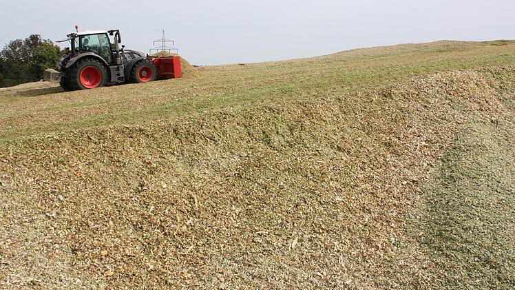 Das Material wird  zu einem sechs Meter hohen  Berg aufgetürmt und dann verdichtet, damit es nicht verrottet.
