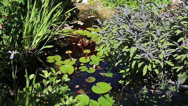 Impressionen aus Carmen Kunerts Gartenatelier in Thurnau. Foto: Barbara Herbst