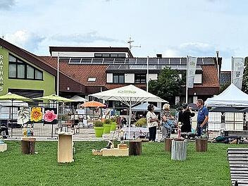 Die Kunst-Open-Air-Ausstellung in Röttenbach begeisterte zahlreiche Besucher.