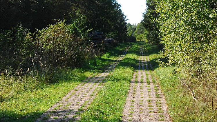 Der Kolonnenweg markiert den Grenzverlauf. Foto: G. Flegl