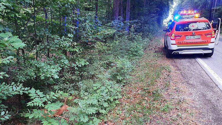Mit Reh kollidiert: Motorradfahrer schleudert in Waldst&uuml;ck
