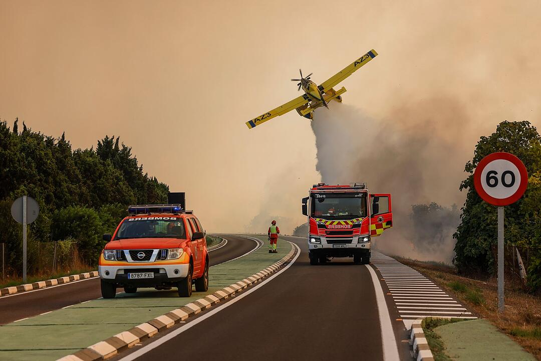 Waldbr&auml;nde in Spanien