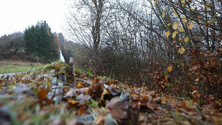 Foto: News5 / Herse