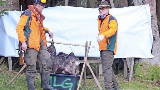 Hier wird eine Folie aufgebaut, an der man nach dem Schuss die weite Streuung der Pirschzeichen und der Geschosssplitter eines Anschusses erkennen kann.  Foto: Karl-heinz Hofmann