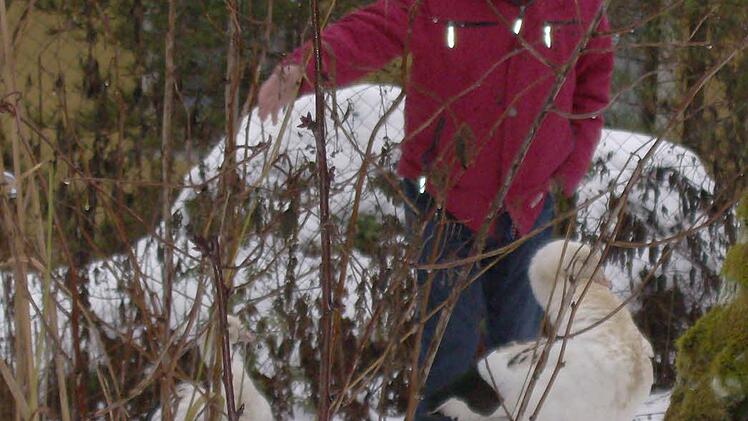 Foto: Petra Malbrich