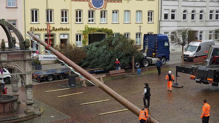 Aufstellung des WeihnachtsbaumsFoto: Arkadius Guzy