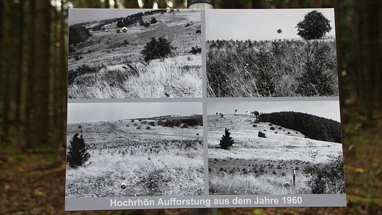 Schilder informieren Wanderer über die Geschichte des Waldes. Foto: Ulrike Müller