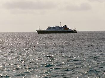 Drei Tote nach Hantavirus-Ausbruch auf Kreuzfahrtschiff