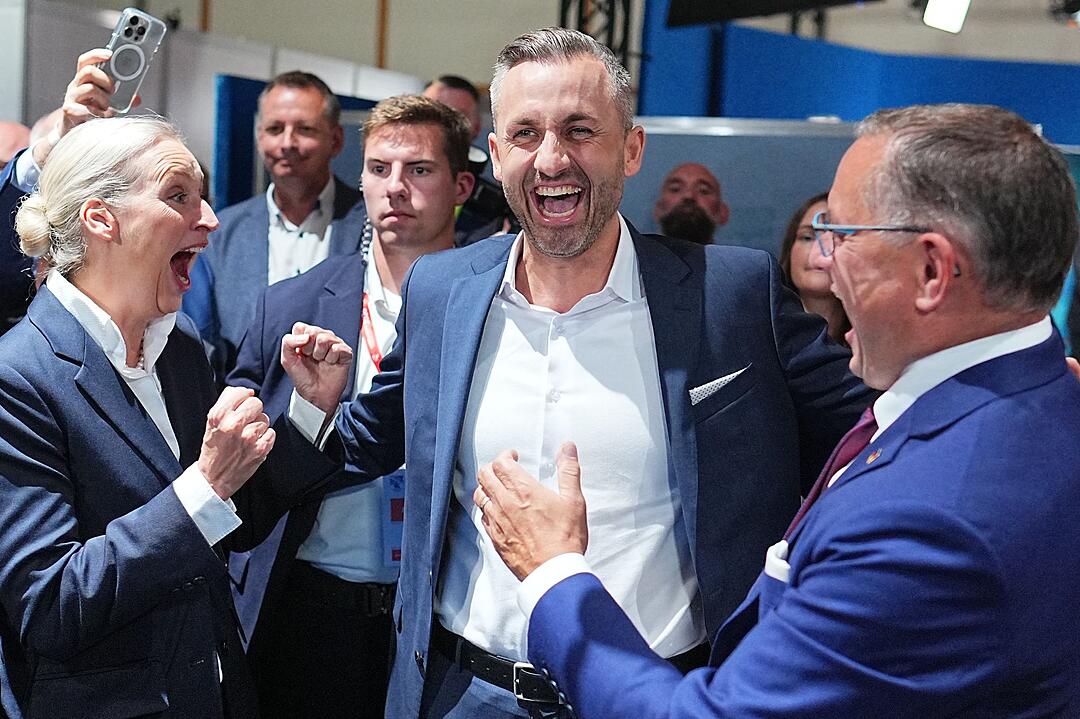 Landtagswahl in Sachsen-Anhalt - AfD