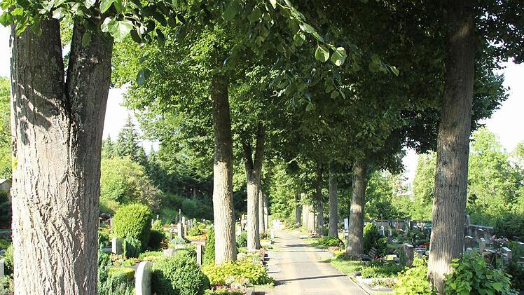 Die großen Bäume im Friedhof Unterrodach stören viele Grabbesitzer.