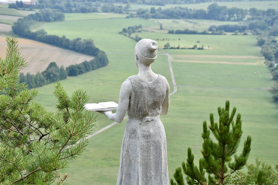 Die schönsten Sommerfotos aus Bad Kissingen und Umgebung