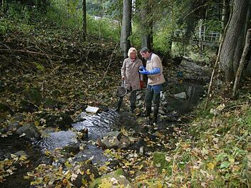 Volker Kirschenlohr und Claudia Hauenschild untersuchten gestern den Rehbach. Fotos: Sonja Adam