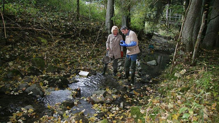 Volker Kirschenlohr und Claudia Hauenschild untersuchten gestern den Rehbach. Fotos: Sonja Adam