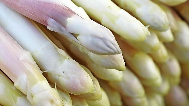 Eine Ursache: Spargel wird "violett", weil UV-Licht zur Stange durchdringt und die Photosynthese einsetzt.  Fotos: Sarah Dann