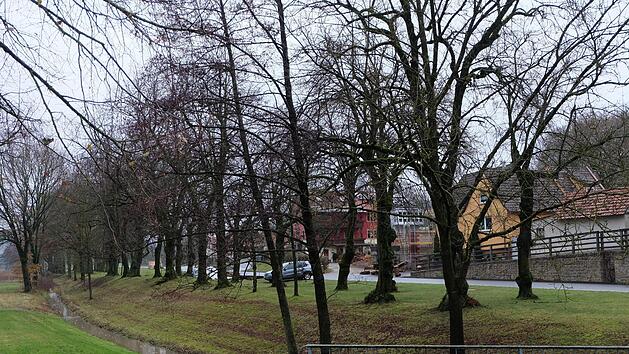 Der Ransbach oberhalb von Thundorf soll naturnah gestaltet werden. Auch eine Wasser-Erlebnisstelle ist geplant. Archivfoto: Philipp Bauernschubert