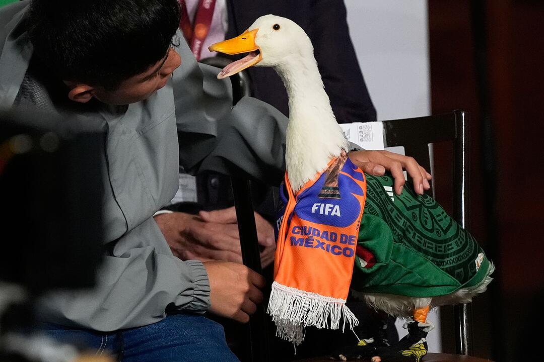 Mexikos WM-Ente Merlin zu Besuch bei Pr&auml;sidentin Sheinbaum