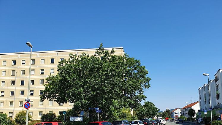 Auch in der Georg-Hagen-Straße wird jeder Zentimeter zum Parken genutzt. Foto: Christine Fischer