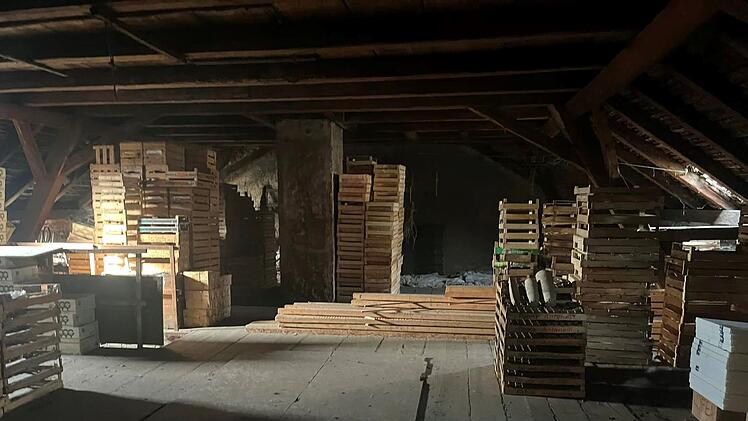 Bamberger "Hofstadt-Gärtnerei" schließt - jetzt läuft ein großer Räumungsverkauf