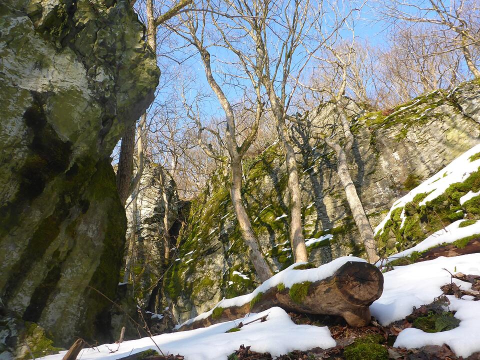 Urlaub in Franken: Rhön im Winter