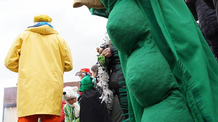 Faschingsumzug in SulzthalFoto: Arkadius Guzy