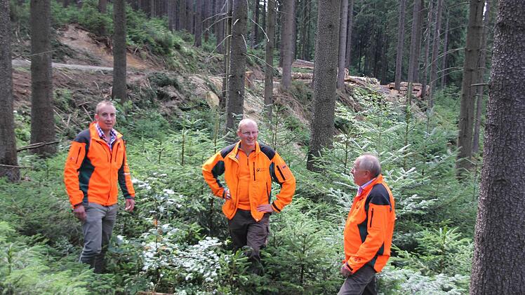 Florian Fischer, Matthias Lindig und Bruno Fischer (von links) im Staatswald bei Heinersberg. Dort wird nicht nur Holz geerntet, wie die Polter im Hintergrund zeigen, es gibt auch Naturverjüngung der Fichte, aber vor allem von Tanne, Buche, Vogelbeere etc. Und auch Totholz (im Vordergrund) bietet nützlichen Insekten einen Lebensraum.  Foto: Friedwald Schedel