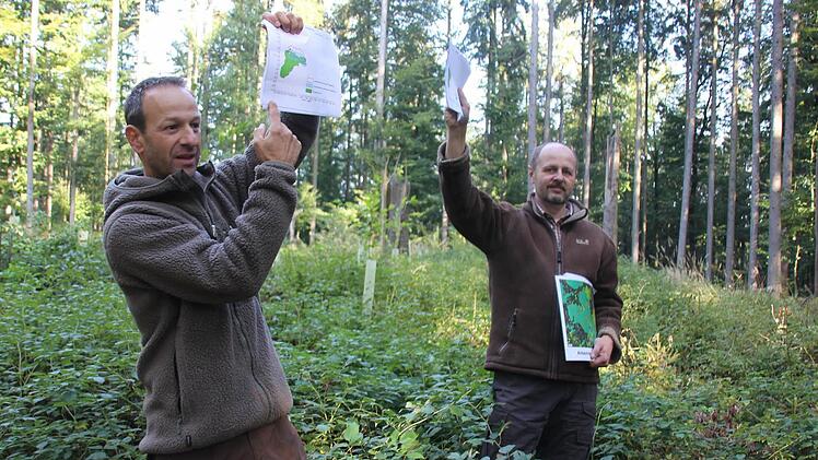 Zwei Männlein im nachwachsenden Wald: Die Arten haben hier die besten Chancen zeigen Sven Kaps und Oliver Kröner.