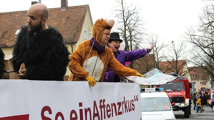 Faschingsumzug in der Bamberger Gartenstadt Foto: Barbara Herbst