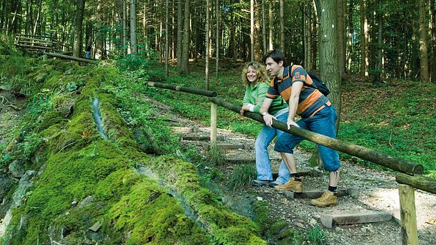 Natur, Wandern, Ausflug, Frankenweg, Reise, Urlaub