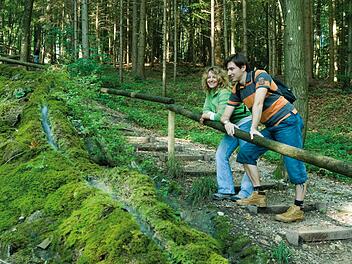 Natur, Wandern, Ausflug, Frankenweg, Reise, Urlaub