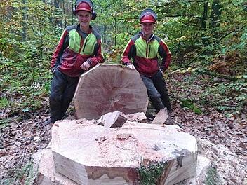 Der als "Braut" bezeichnete teuerste Eichenstamm kam aus der Abteilung Matzenhag und brachte bei der Submission 2567 Euro. Foto: FBG Rhön-Saale