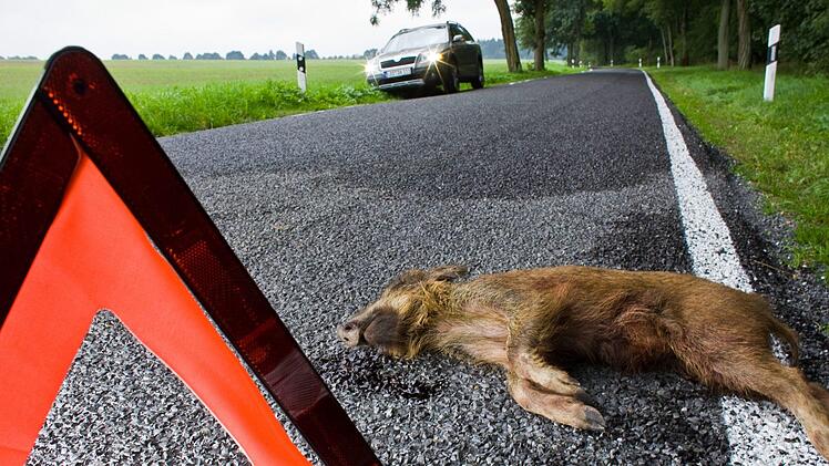 Symbolbild: Patrick Pleul, dpa