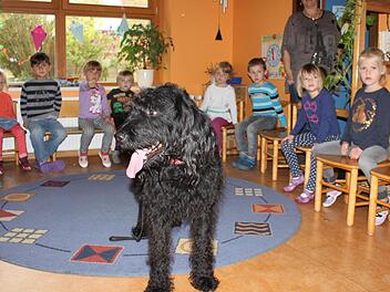 Lano meisterte seinen ersten Besuch im Kindergarten ganz entspannt. Foto: Tina Meier