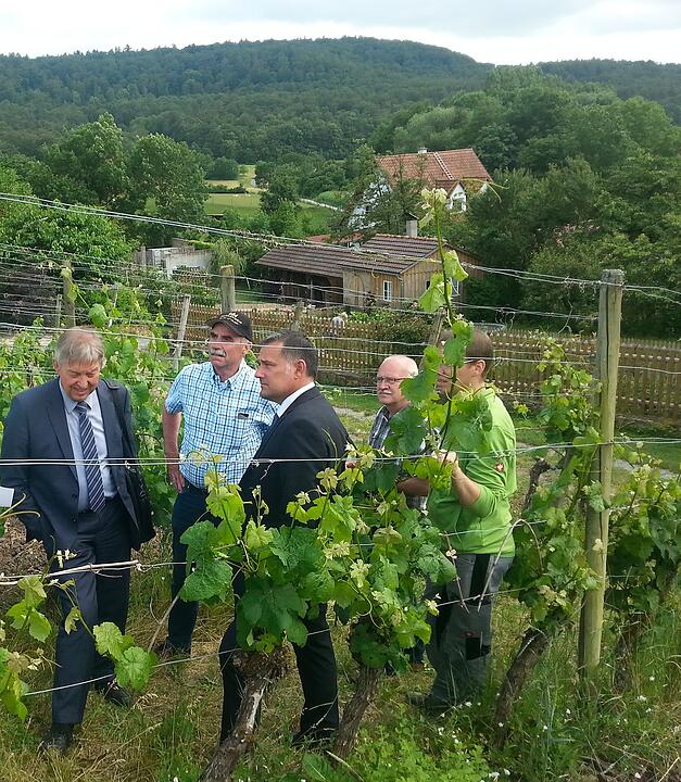 H&uuml;nnerkopfs Landtagszeit