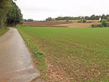 Dieses Areal zwischen dem Kehlbach (links neben dem Flurbereinigungsweg) und dem Klinikum Obermain (Mitte und rechts oben) wird die Anschlussspange queren. Das Staatliche Bauamt hat bereits damit begonnen, hier neue Lebensräume für Eidechsen anzulegen. Fotos: Matthias Einwag