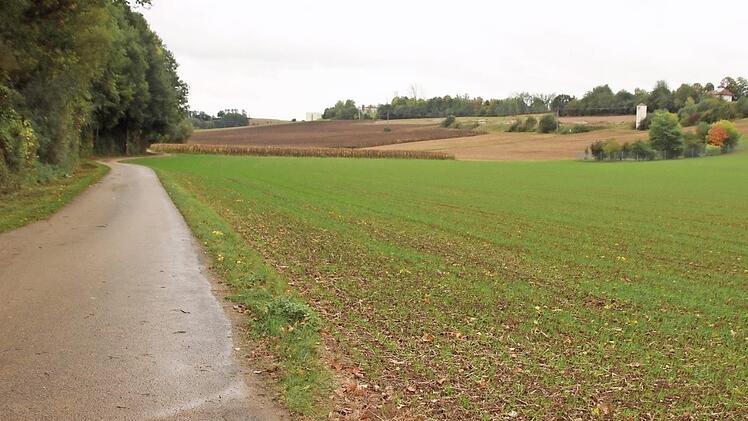 Dieses Areal zwischen dem Kehlbach (links neben dem Flurbereinigungsweg) und dem Klinikum Obermain (Mitte und rechts oben) wird die Anschlussspange queren. Das Staatliche Bauamt hat bereits damit begonnen, hier neue Lebensräume für Eidechsen anzulegen. Fotos: Matthias Einwag