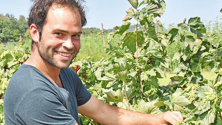 Thomas Fahner bei der Beerenobsternte