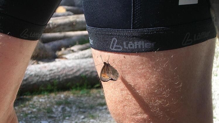 Tierisch schöne Beine...