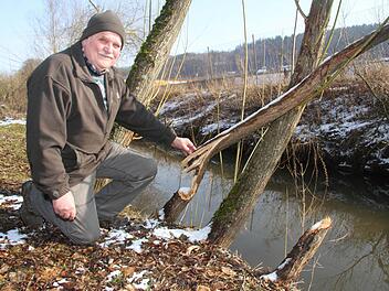 Harry Leucht (66) aus Trebgast hat sich zum Biberberater ausbilden lassen: Bei ihm ist der Biber direkt vor der Haustür aktiv. Fotos: Sonja Adam